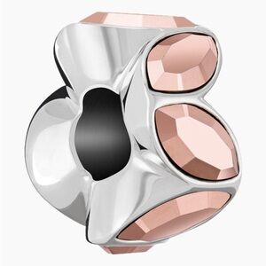 Chamilia Reflections Charm